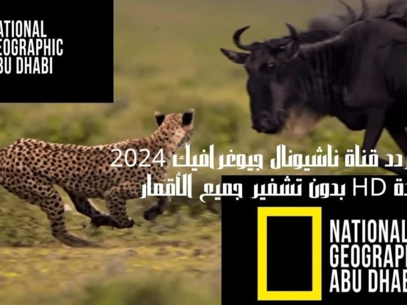 استقبل مجاناً تردد قناة ناشيونال جيوغرافيك نايل سات 2024 بجودة عالية لمتابعة أهم برامج القناة وكيفية الضبط علي التلفاز