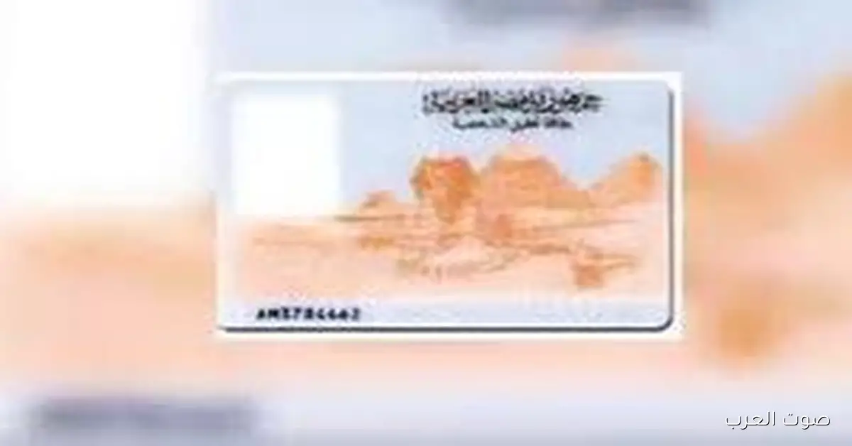 ازاي تستخرج بطاقة رقم قومي في نفس اليوم عشان تصوت في الانتخابات