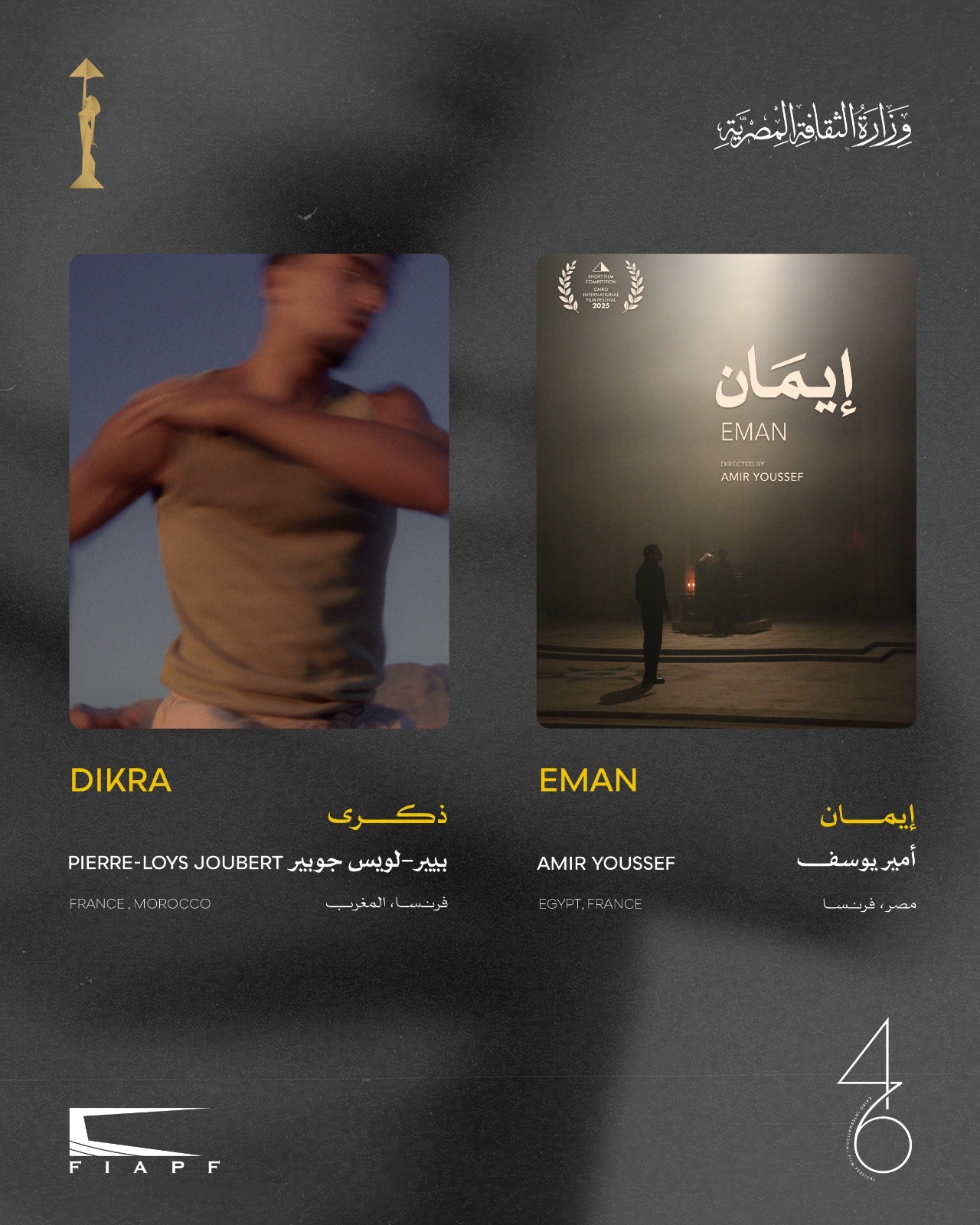 1762867097 257 مهرجان القاهرة السينمائي يعلن عن القائمة النهائية لأفلام المسابقة القصيرة