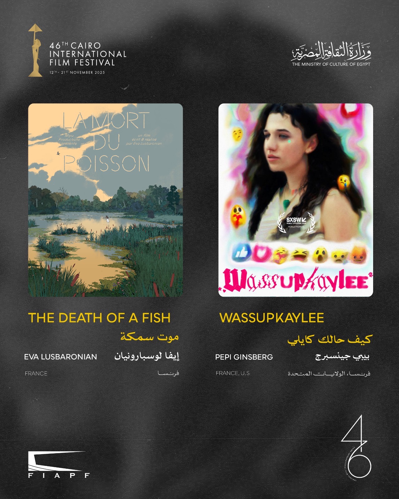 1762867097 970 مهرجان القاهرة السينمائي يعلن عن القائمة النهائية لأفلام المسابقة القصيرة