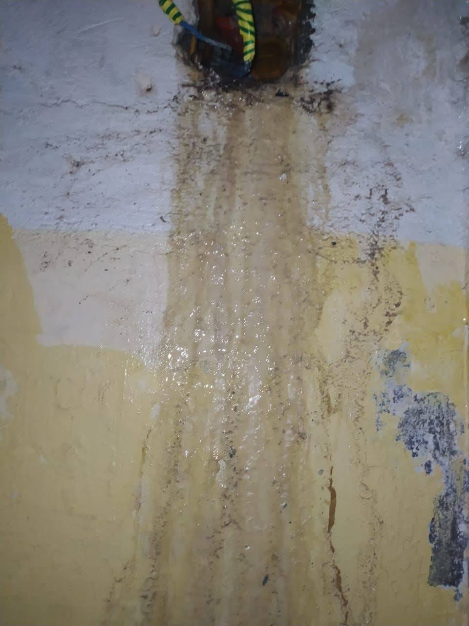 مياه الصرف بتغرق جدران مدرسة في حلمية الزيتون وأهالي الطلبة بيستغيثوا بوزير التعليم 4 1764353248 522 مياه الصرف بتغرق جدران مدرسة في حلمية الزيتون وأهالي الطلبة