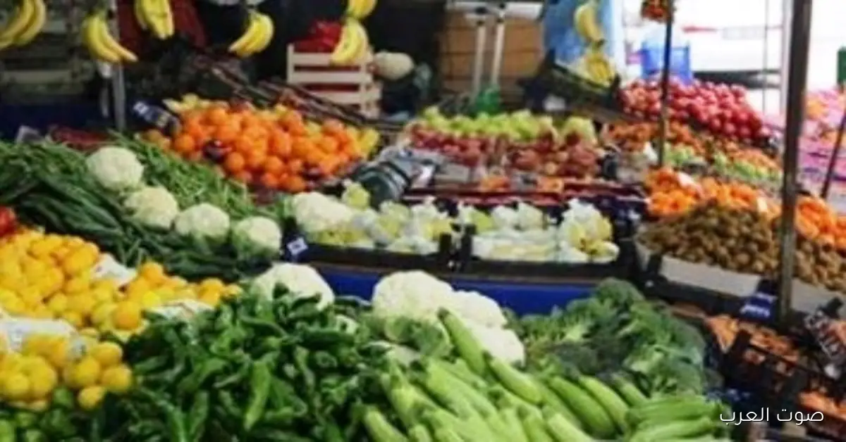 أسعار الخضار النهارده الأربعاء 26-11-2025