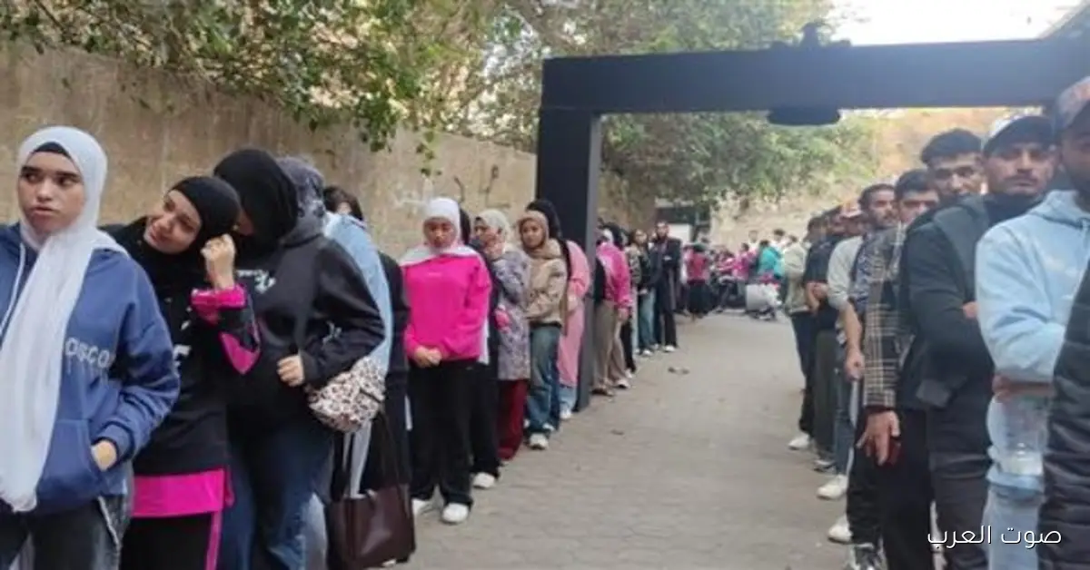 إيه اللي هيحصل بعد ما تقفل اللجان الفرعية أبوابها وينتهي التصويت في المرحلة التانية من انتخابات مجلس النواب؟