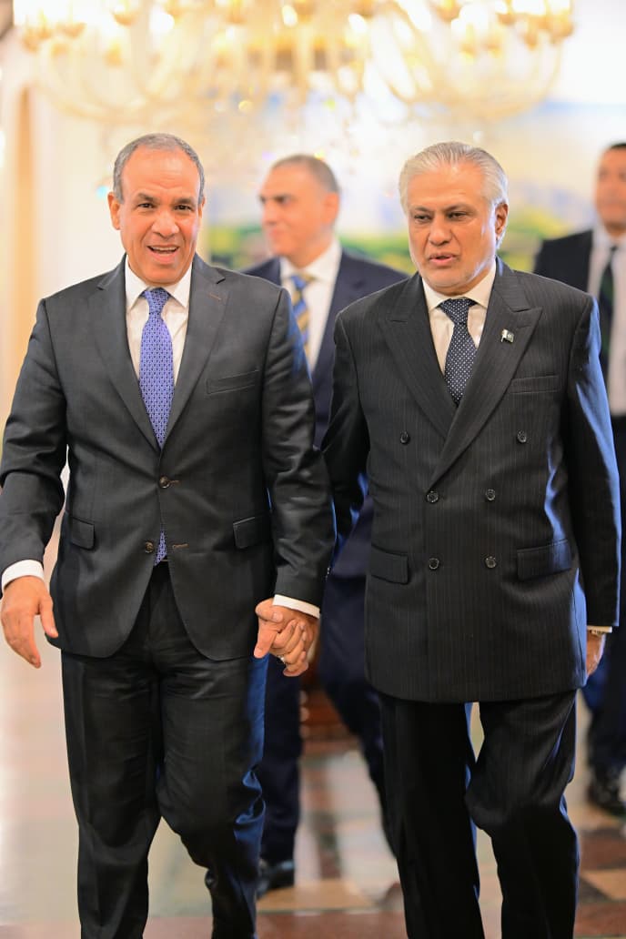 لقاء وزير الخارجية المصري ونظيره الباكستاني