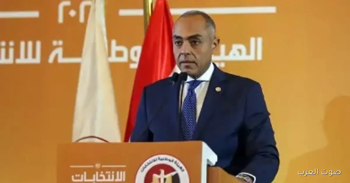 الهيئة الوطنية للانتخابات: 108 مركز مستمرين في استقبال الناخبين برة مصر