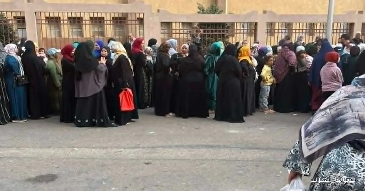 طوابير الصبح.. الستات بيدلوا بأصواتهم في اليوم التاني من انتخابات النواب