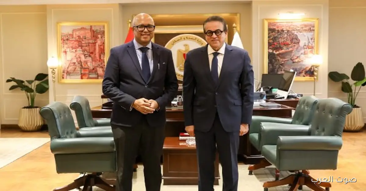 عبدالغفار يناقش مع منظمة الصحة العالمية كيفية تعزيز الجهود الدولية لمواجهة الكوارث