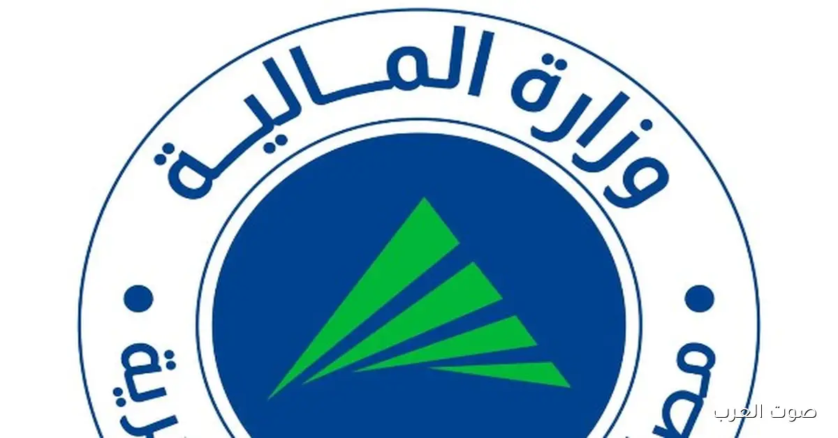 للمشترين على الإنترنت.. ضرائب بتوجه رسالة للناس اللي وقعوا ضحية غش أو طلبوا أوردر بالغلط