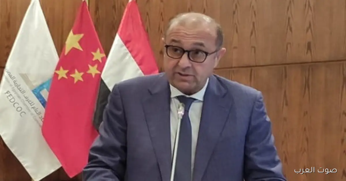 محمد سعده: مصر بتفتح أبوابها لاستثمارات جديدة مع الصين وبتقدم فرصة ممتازة للتوسع في المنطقة