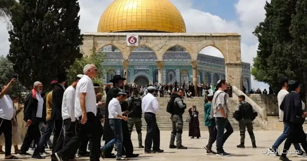 مستوطنين يدخلوا الأقصى واحتجازات كبيرة من جيش الاحتلال الإسرائيلي