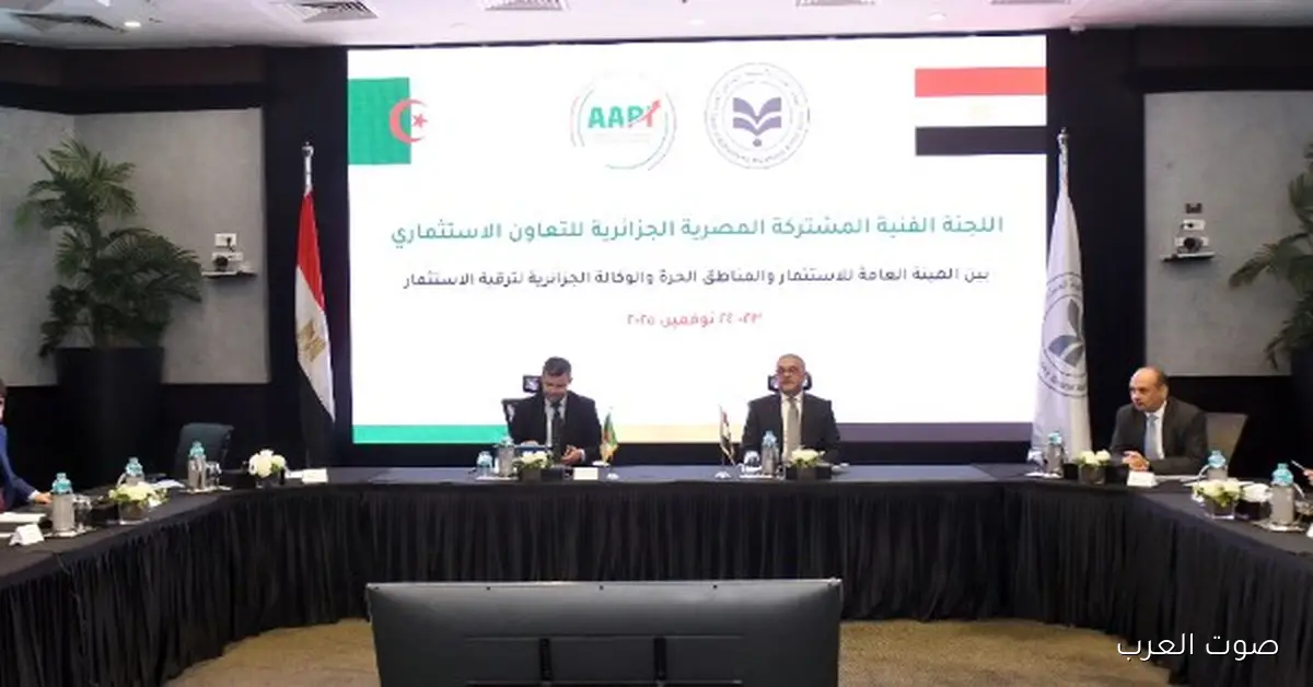 مصر والجزائر يعقدوا أول اجتماع للجنة الفنية لتعزيز التعاون في الاستثمار