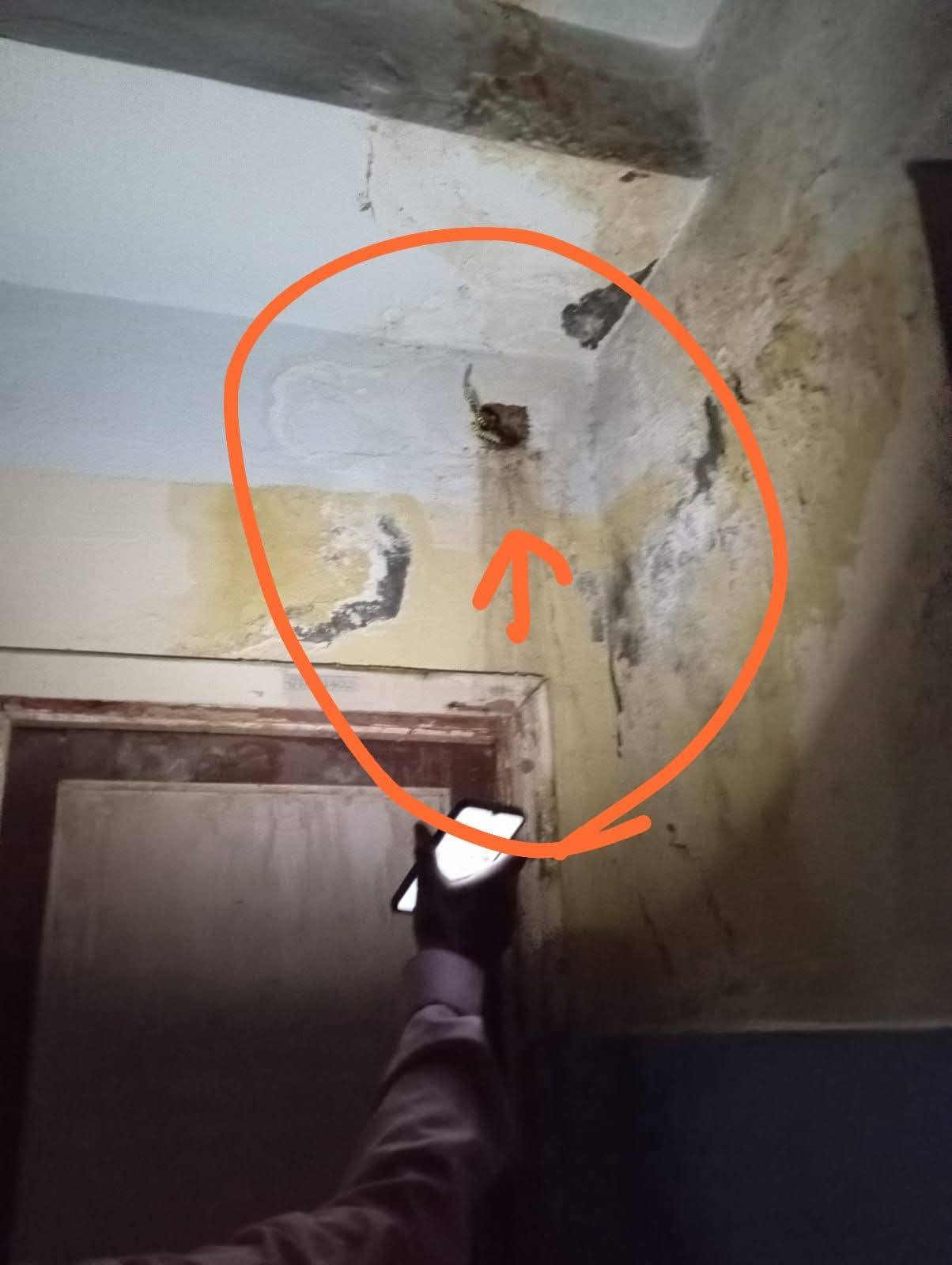 مياه الصرف بتغرق جدران مدرسة في حلمية الزيتون وأهالي الطلبة بيستغيثوا بوزير التعليم 2 مياه الصرف بتغرق جدران مدرسة في حلمية الزيتون وأهالي الطلبة