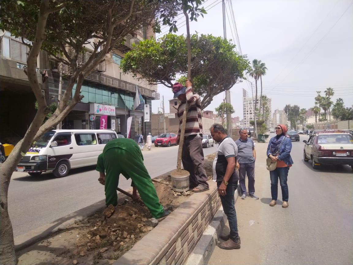 منال عوض: بدء المرحلة الرابعة من مبادرة 100 مليون شجرة في الدقهلية 6 1765193297 147 منال عوض بدء المرحلة الرابعة من مبادرة 100 مليون شجرة