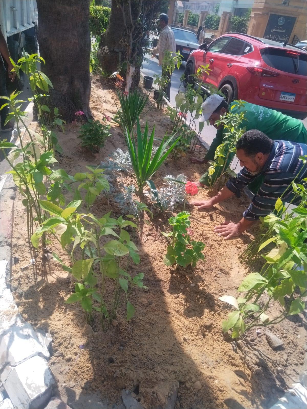 منال عوض: بدء المرحلة الرابعة من مبادرة 100 مليون شجرة في الدقهلية 3 1765193297 586 منال عوض بدء المرحلة الرابعة من مبادرة 100 مليون شجرة