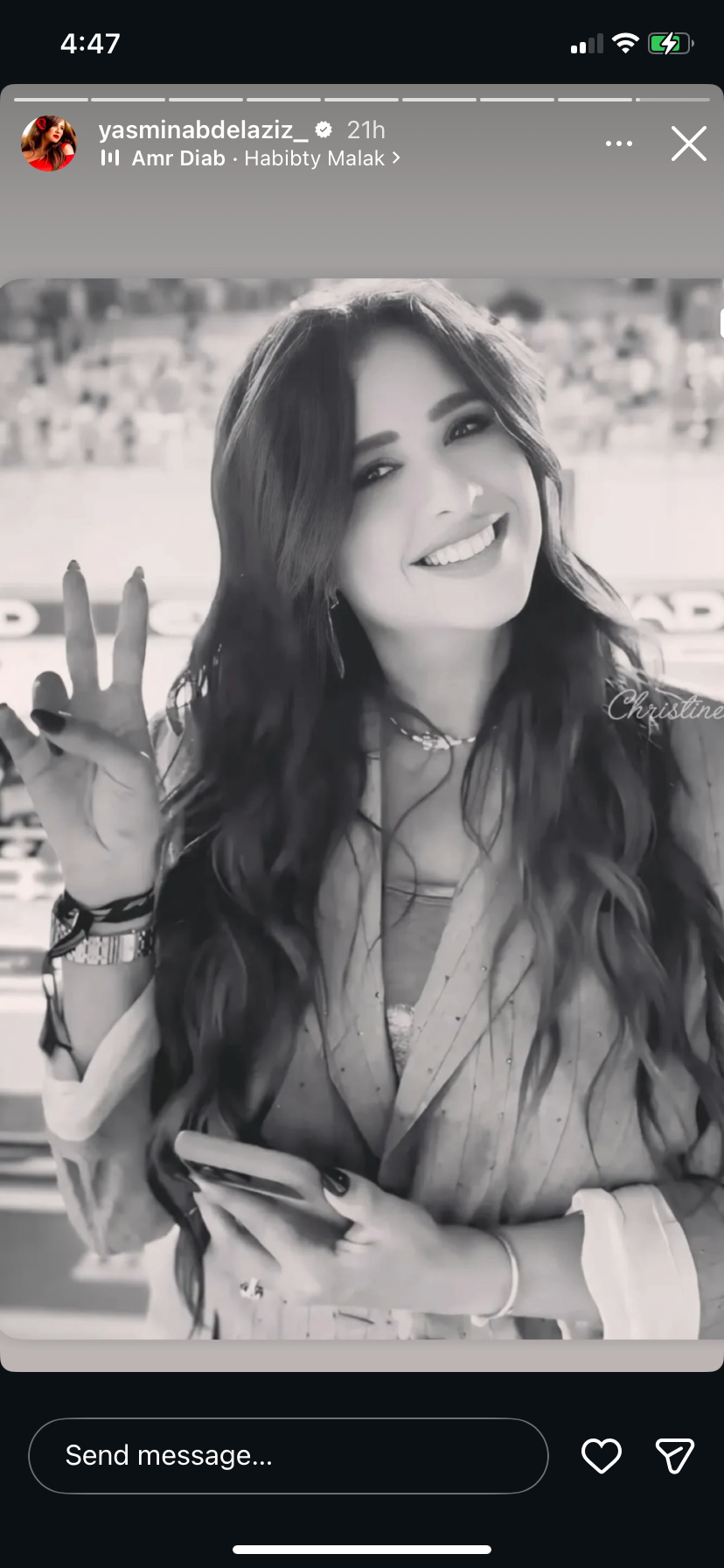 1765206314 442 ياسمين عبد العزيز في سباق الفورمولا شوفوا الصورة