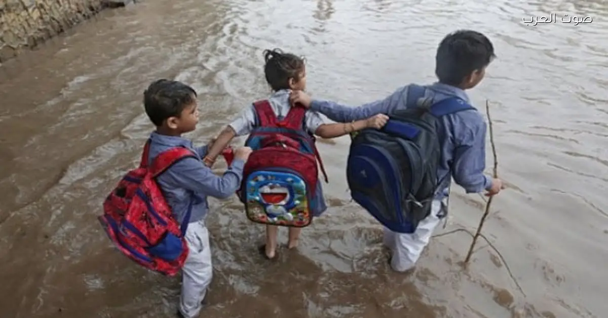 هل هيتم تعليق الدراسة في المدارس بكرة بسبب الأمطار؟ التعليم: القرار عند المحافظين