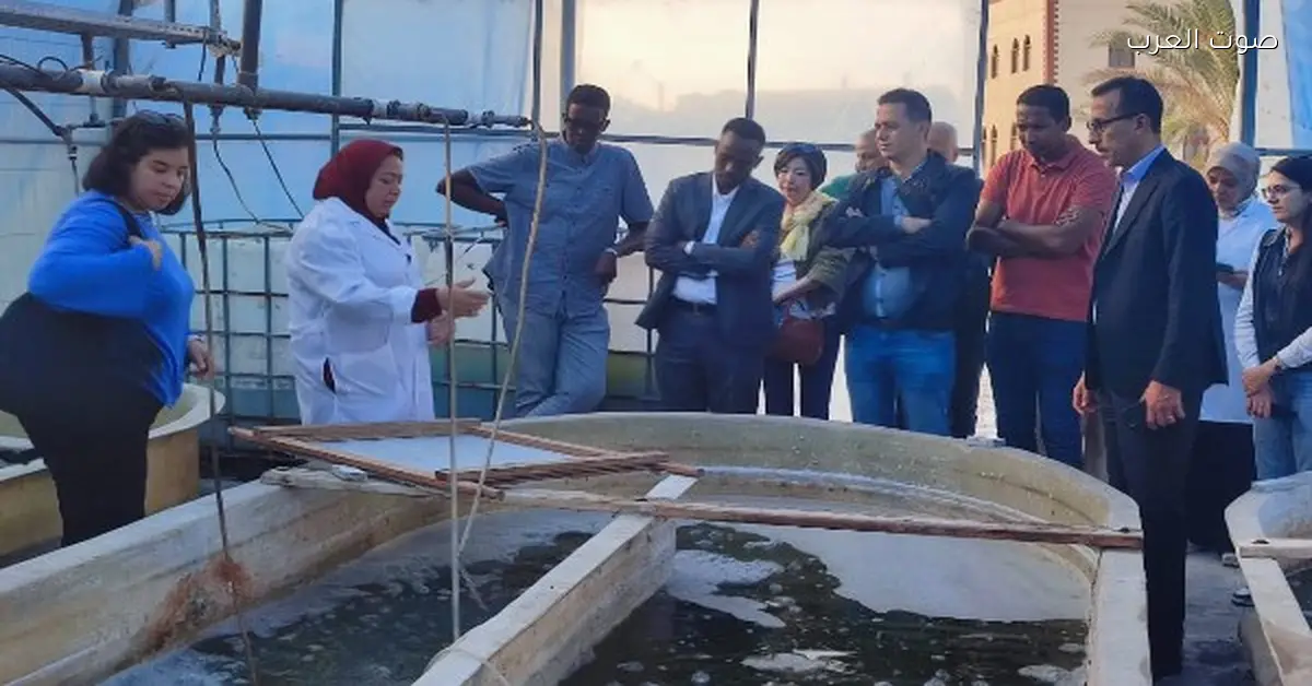 معهد علوم البحار والمصايد يستقبل وفد دولي لتعزيز التعاون في الاقتصاد الأزرق