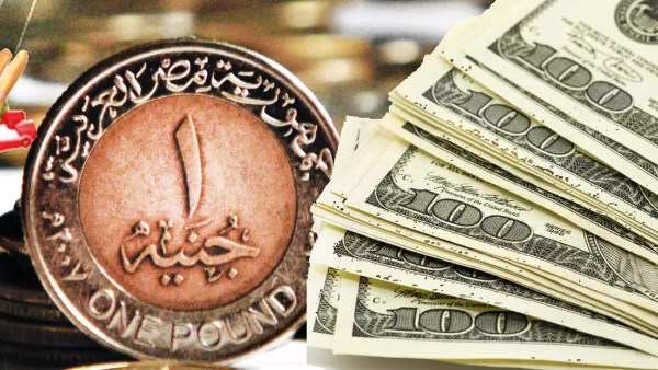 سعر الدولار مقابل الجنيه المصري اليوم الجمعة 12 ديسمبر 2025 5 استقرار سعر الدولار اليوم في مصر في ختام التعاملات