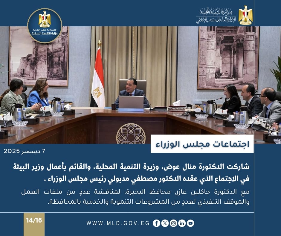 نشرة أسبوعية عن أنشطة التنمية المحلية بالانفوجراف 8 صورة من الاحتفالية