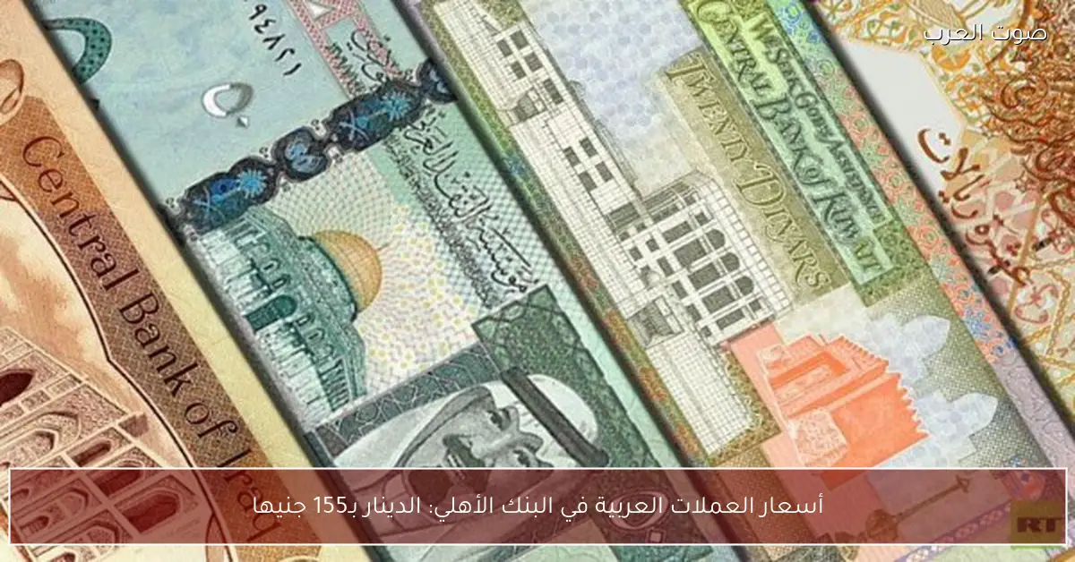 أسعار العملات العربية في البنك الأهلي: الدينار بـ155 جنيها