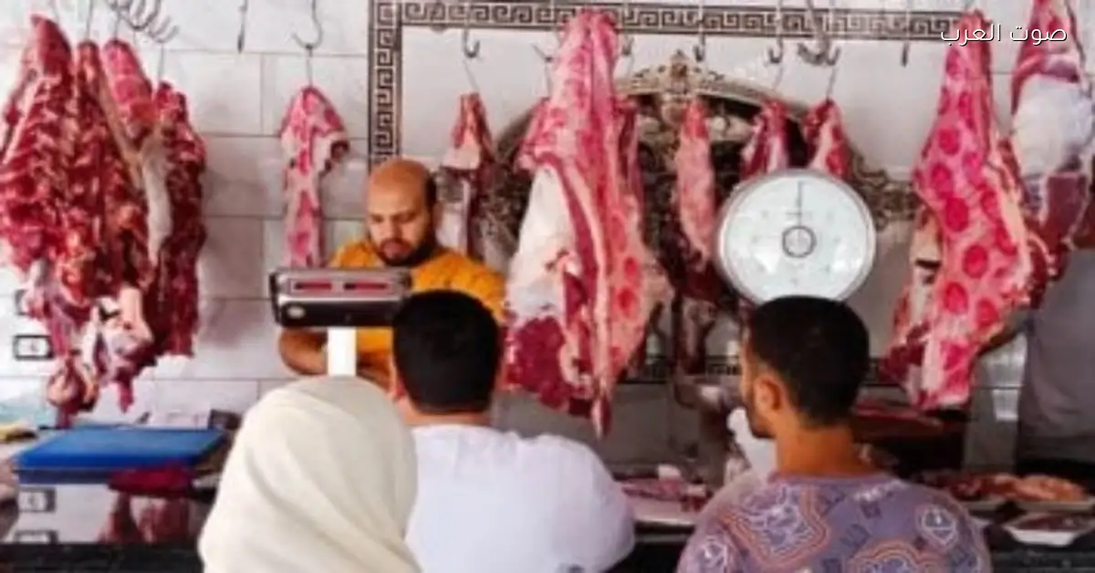 أسعار اللحوم النهاردة: الكيلو بـ 250 جنيه من الزراعة ومفاجآت جديدة