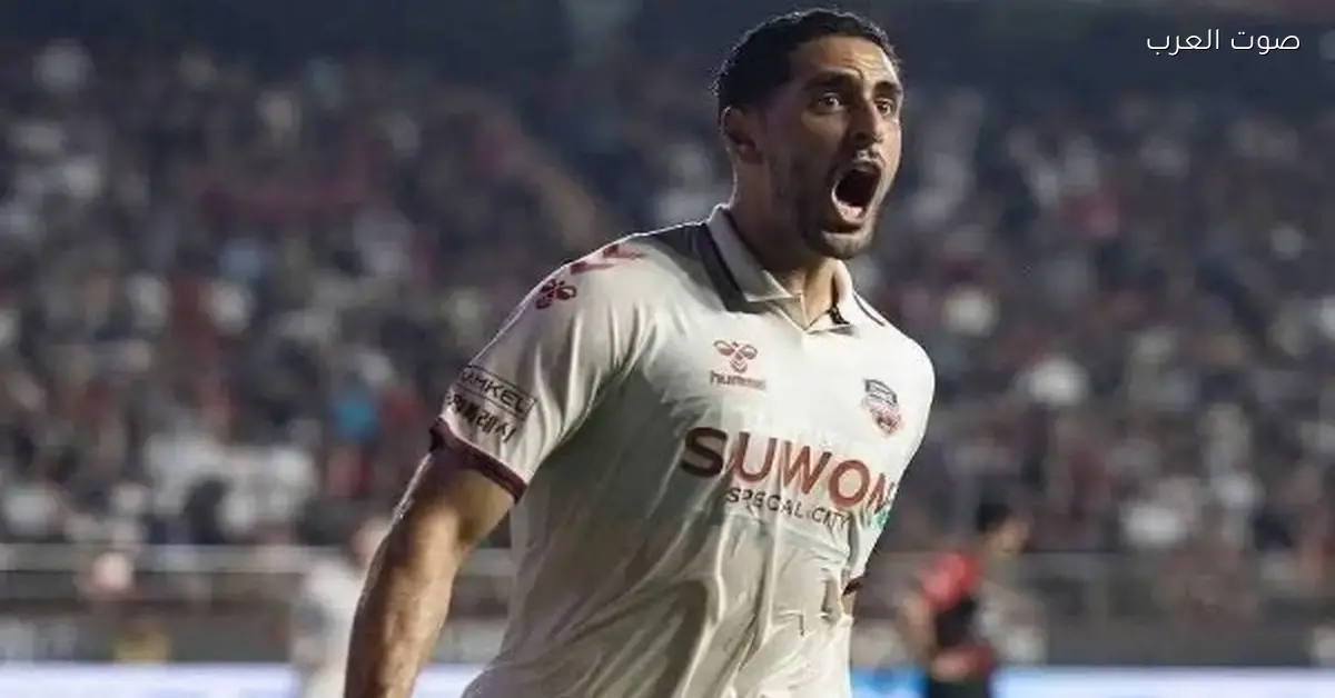 الأهلي يتفاوض مع سوون سيتي عشان يضم المهاجم بابلو الصباغ