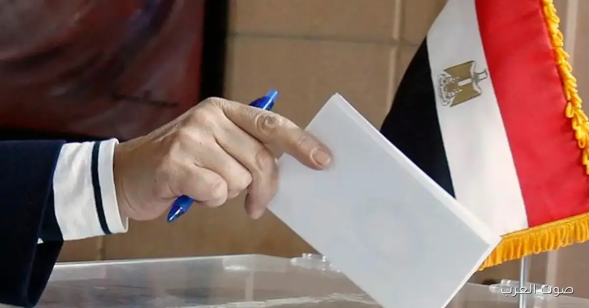 الجالية المصرية في الكويت تشارك بقوة في انتخابات مجلس النواب