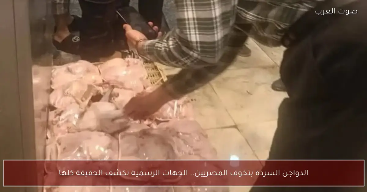 الدواجن السردة بتخوف المصريين.. الجهات الرسمية تكشف الحقيقة كلها