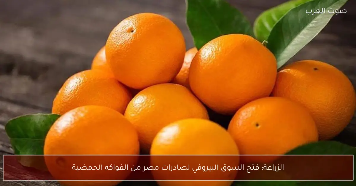 الزراعة: فتح السوق البيروفي لصادرات مصر من الفواكه الحمضية