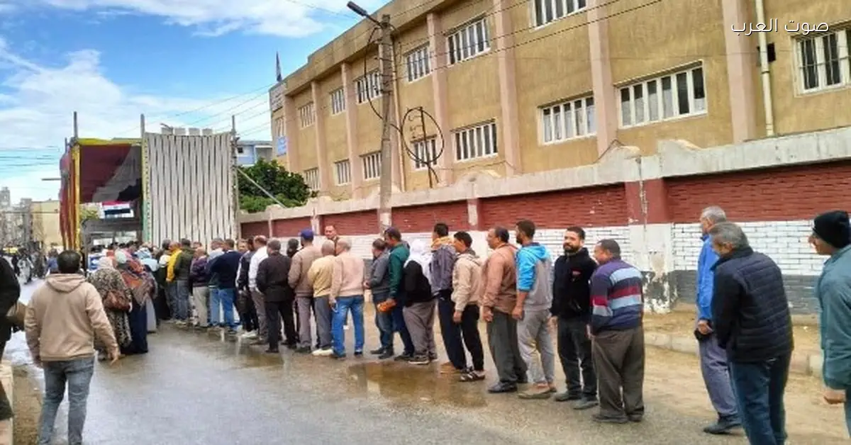 المنظمة المصرية: التصويت مستمر ومحاولات لشراء الأصوات في انتخابات النواب