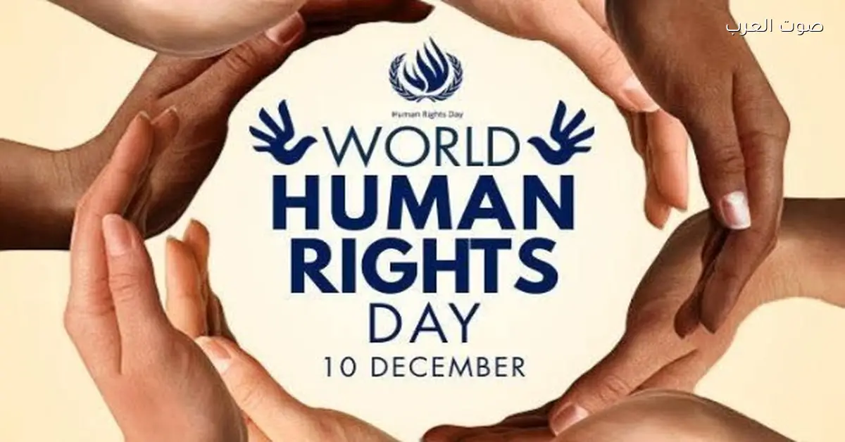 اليوم العالمي لحقوق الإنسان.. إزاي مصر حققت تطورات في دعم الحريات