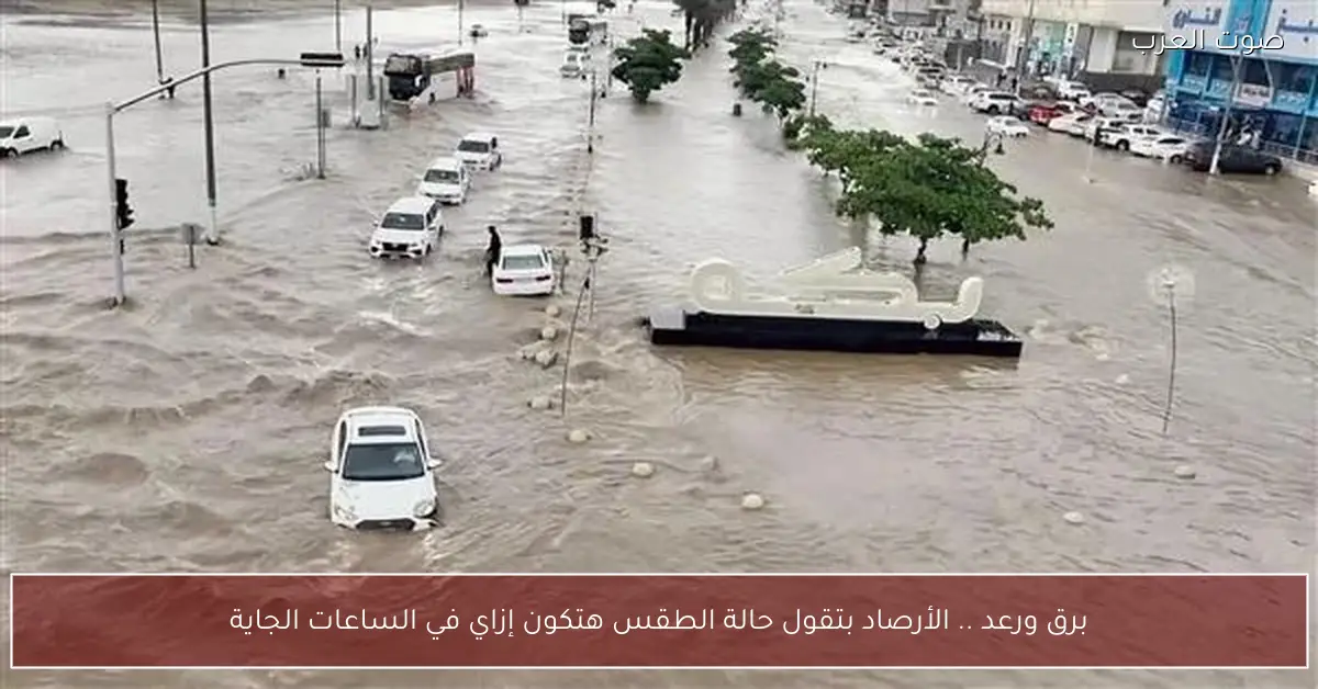 برق ورعد .. الأرصاد بتقول حالة الطقس هتكون إزاي في الساعات الجاية