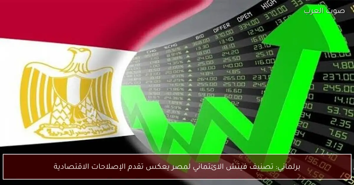 برلماني: تصنيف فيتش الائتماني لمصر يعكس تقدم الإصلاحات الاقتصادية