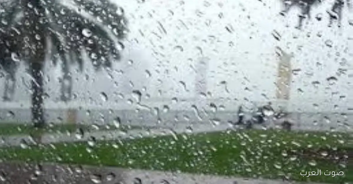خلي بالك.. شبورة كثيفة هتأثر على الرؤية في الطرق لحد 9 الصبح