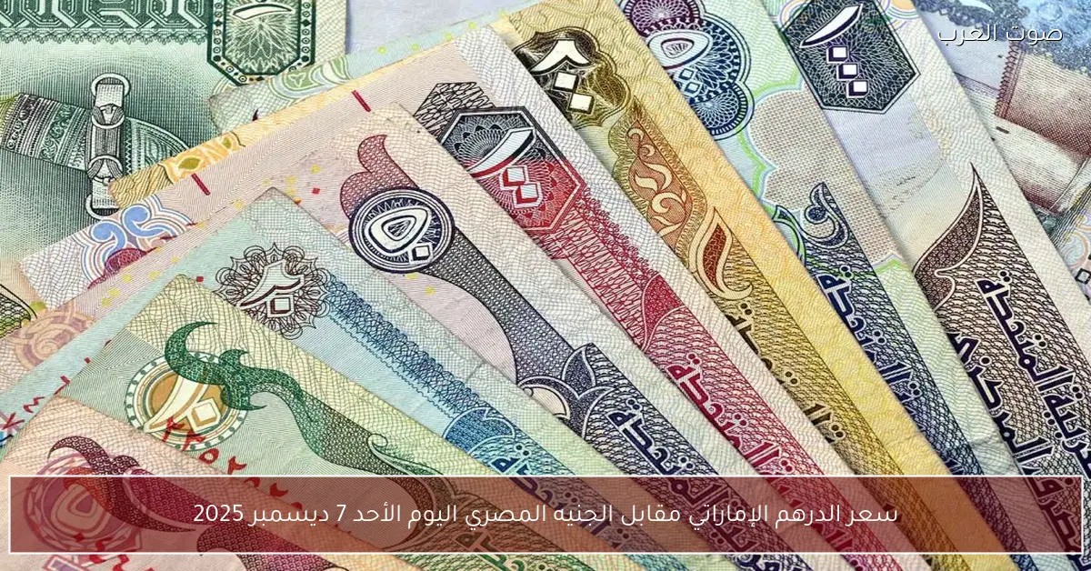 سعر الدرهم الإماراتي مقابل الجنيه المصري اليوم الأحد 7 ديسمبر 2025