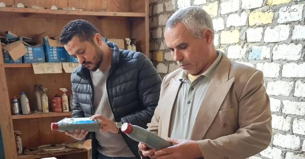 ضبط كميات من السكر والكيماويات المدعمة والمخللات والدواجن واللحوم في ديرب نجم وكفر صقر