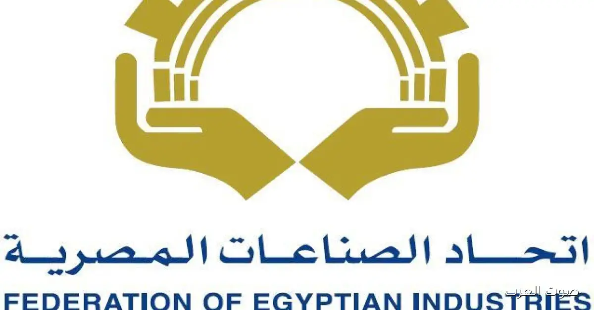 كامل الوزير يعتمد تشكيلات جديدة لعدد من الغرف الصناعية تضم الليثي وبرزي