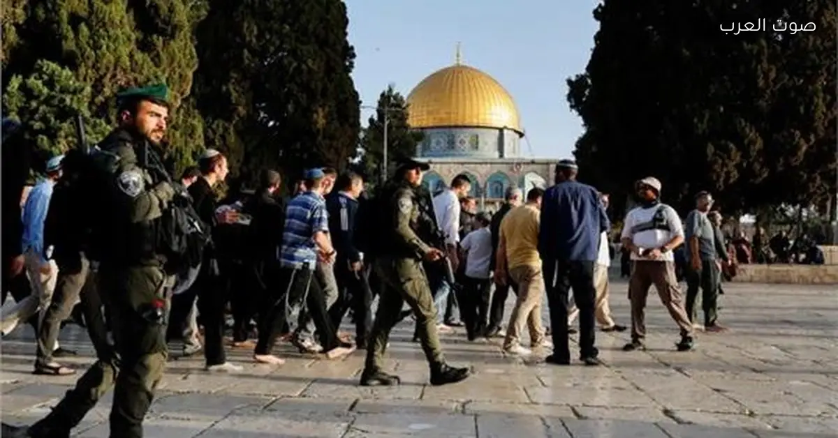 مستوطنين كتير يقتحموا باحات الأقصى واعتقال 21 فلسطيني من الضفة