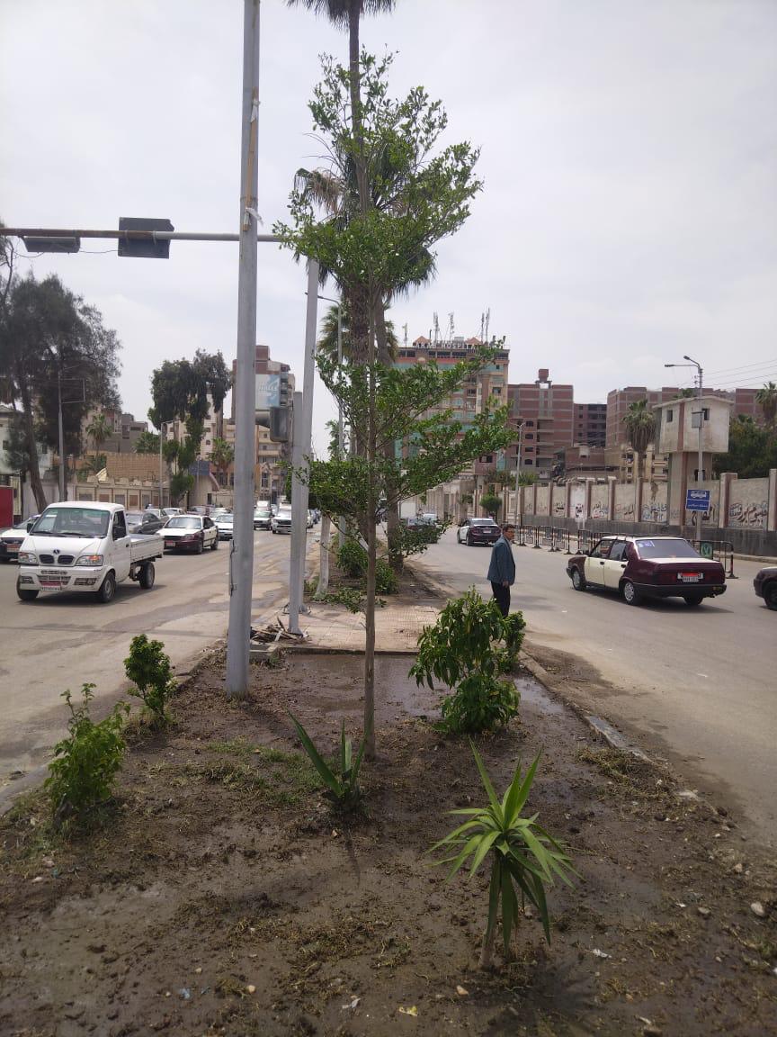 منال عوض: بدء المرحلة الرابعة من مبادرة 100 مليون شجرة في الدقهلية 2 منال عوض بدء المرحلة الرابعة من مبادرة 100 مليون شجرة