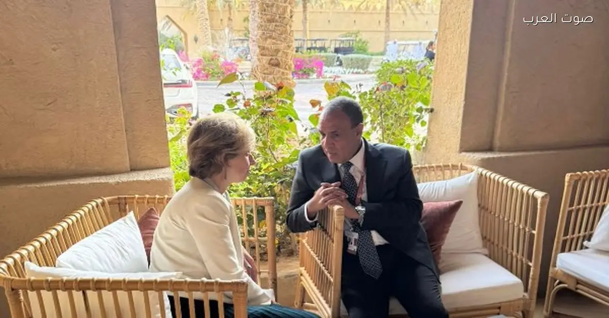 وزير الخارجية: لازم نسرع في تشكيل قوة استقرار دولية في غزة