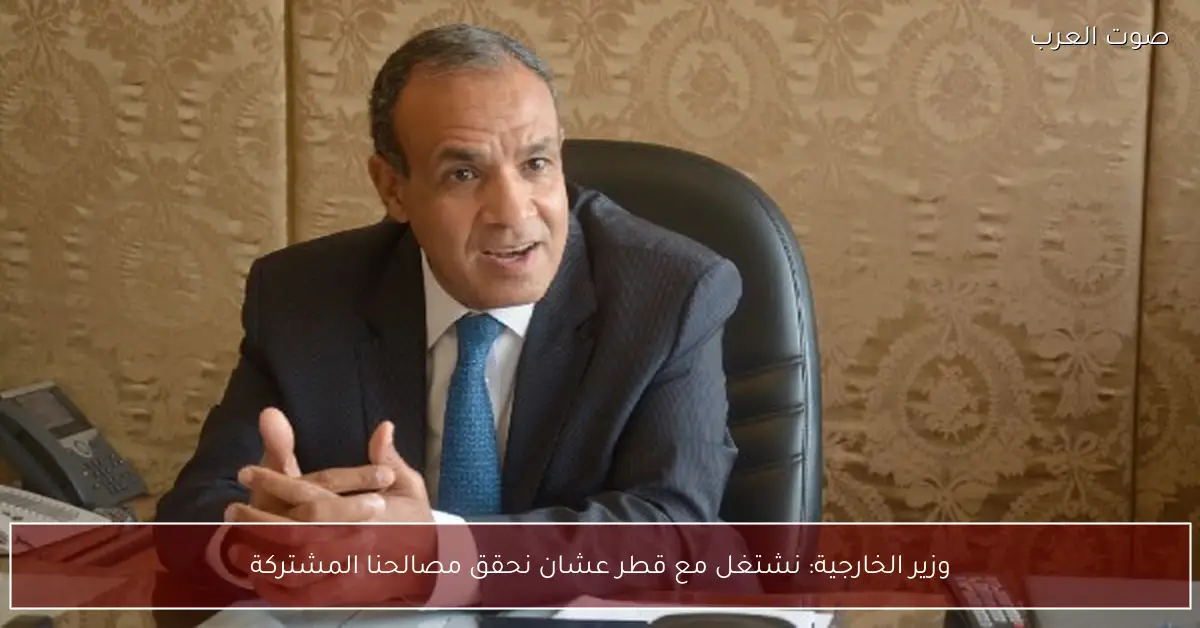 وزير الخارجية: نشتغل مع قطر عشان نحقق مصالحنا المشتركة