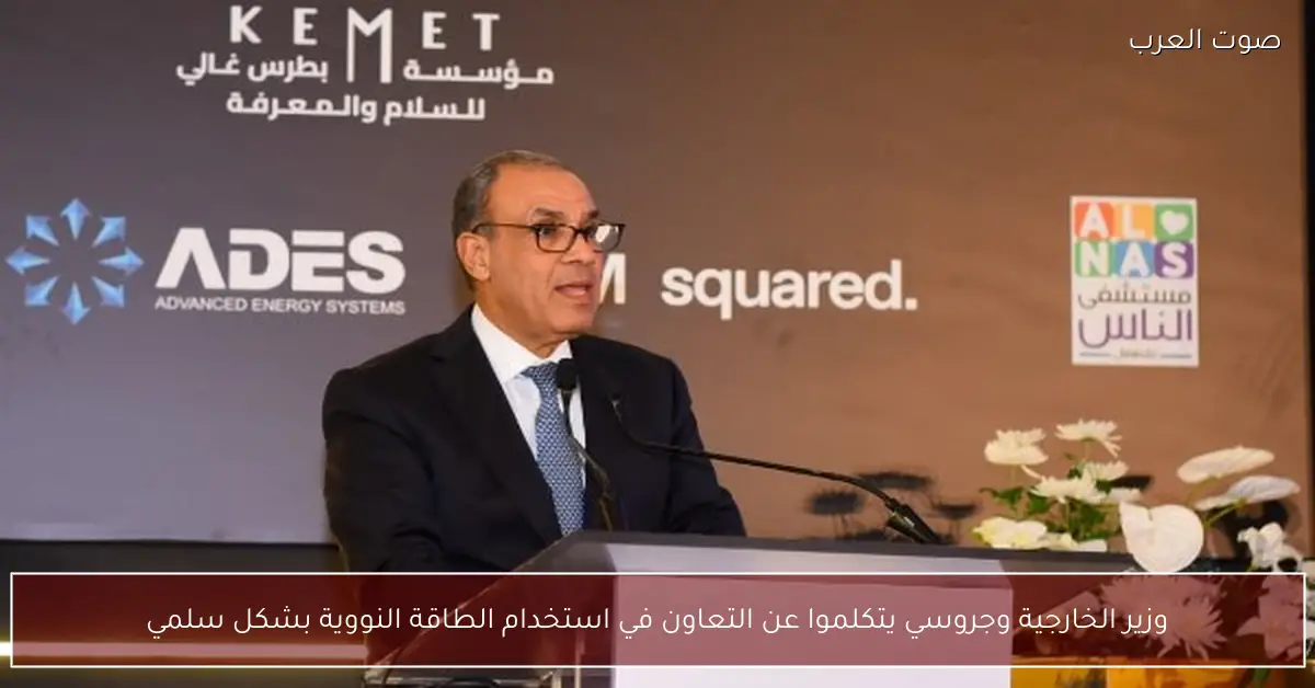 وزير الخارجية وجروسي يتكلموا عن التعاون في استخدام الطاقة النووية بشكل سلمي